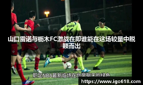 中欧体育